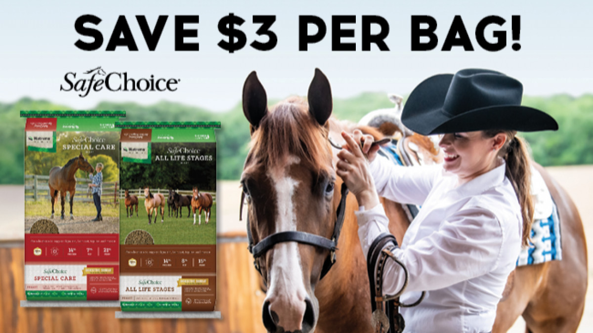 Safechoice Savings!