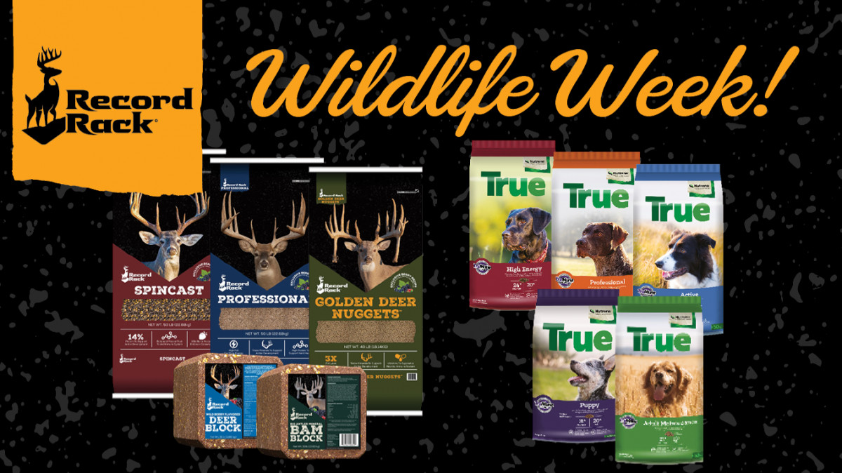 Wildlife Week