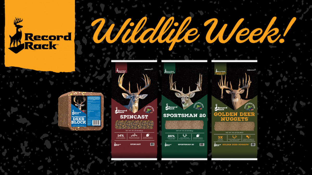 Wildlife Week