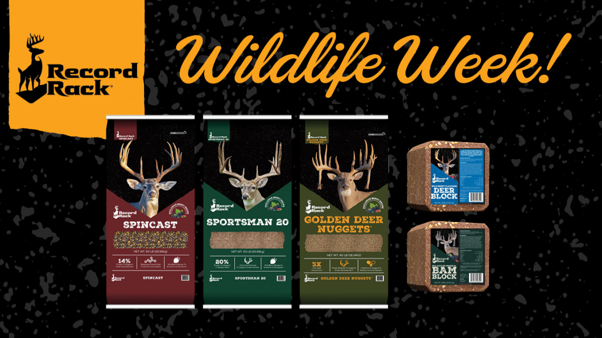 Wildlife Week