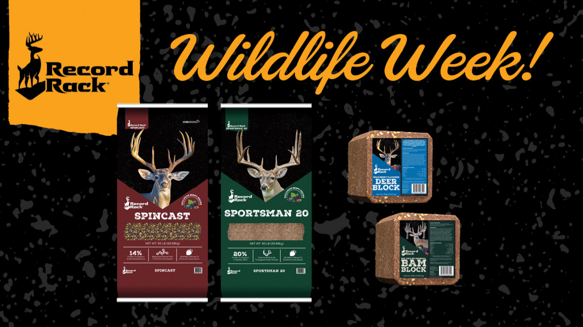 Wildlife Week