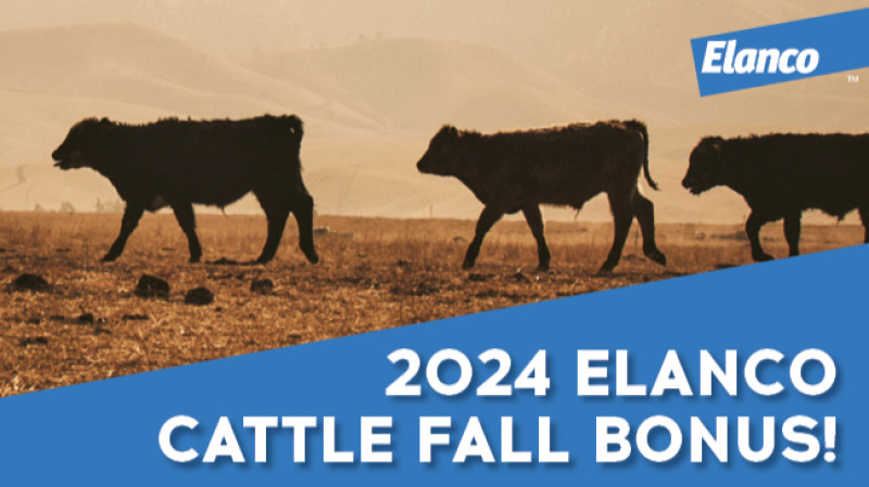 2024 Elanco Cattle Fall Bonus!