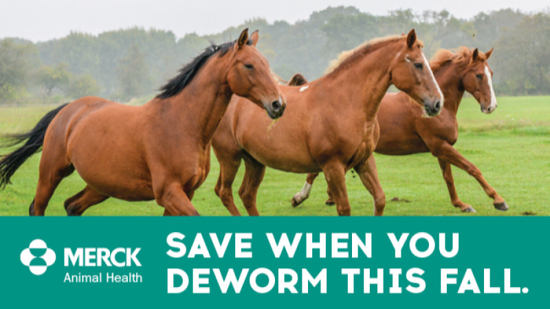 Save When You Deworm This Fall