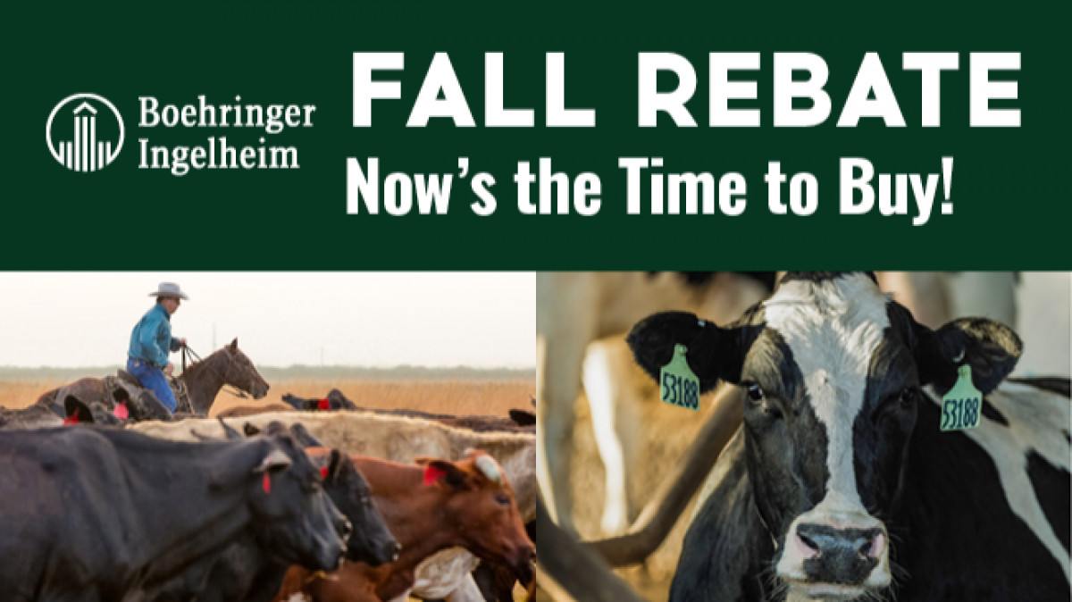 Fall Rebate. Now's the time to buy!