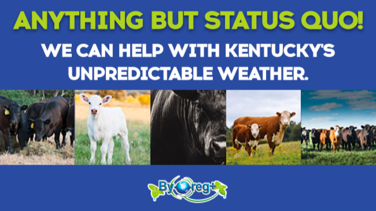 Anything but status quo! We can help with Kentucky's unpredictable weather