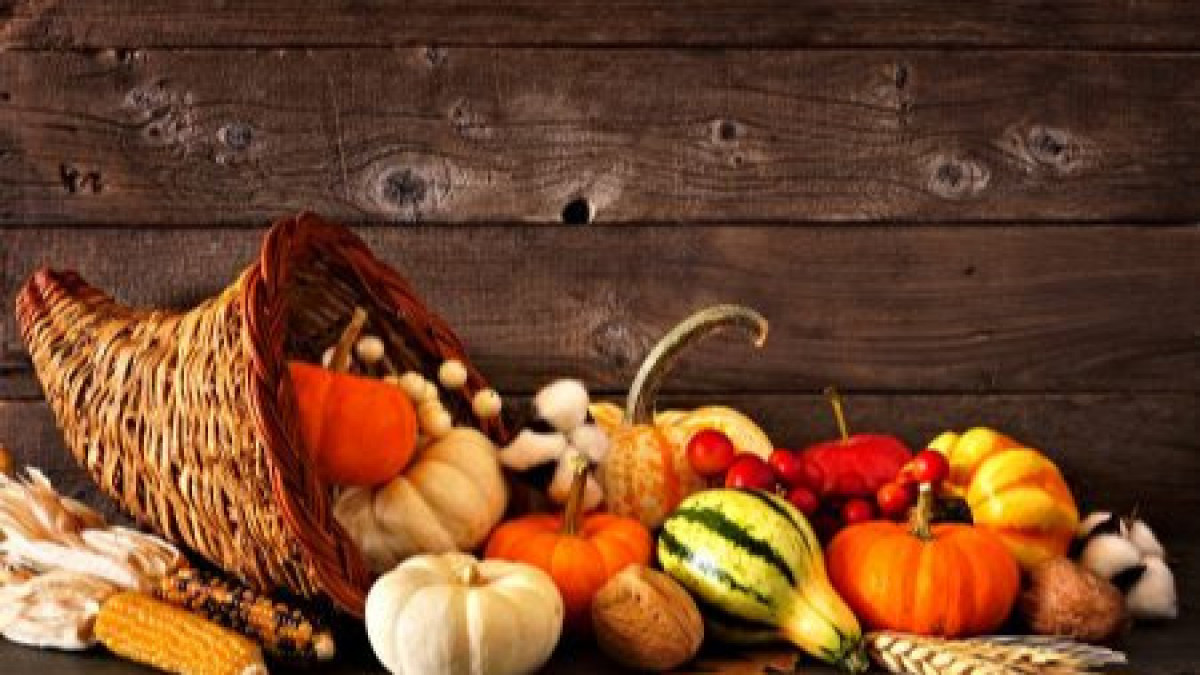 Our store will be closed on Thanksgiving day November 27th and November 28th to allow our employees to be with their family and friends.