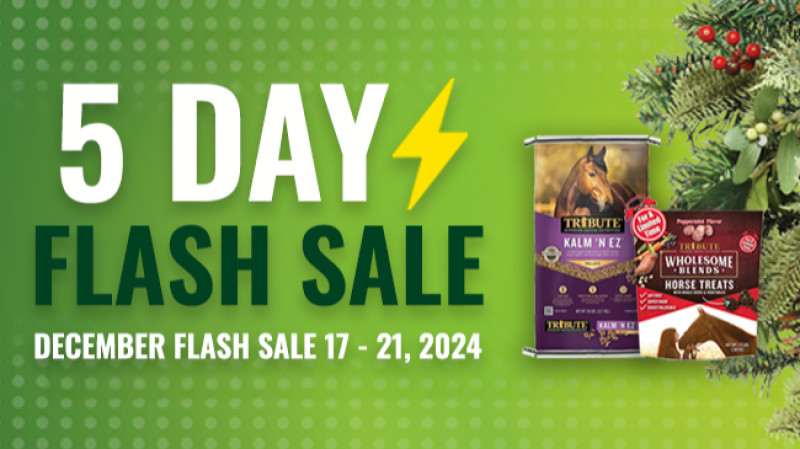 5 Day Flash Sale