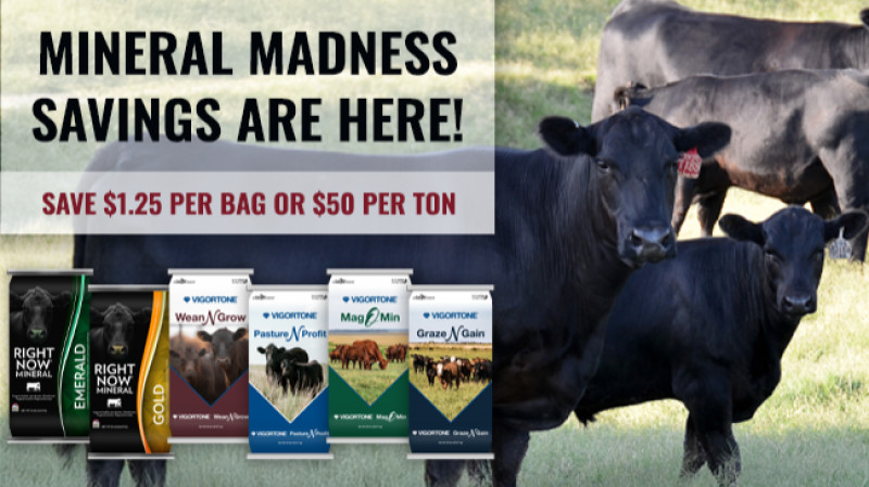 Spring Mineral Madness Savings!