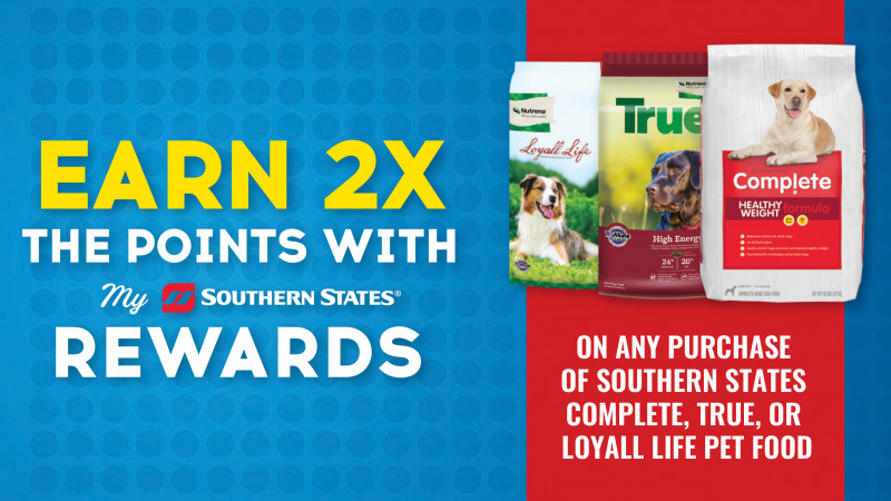 May is National Pet Month! Earn 2x the rewards on qualifying purchases this month only.