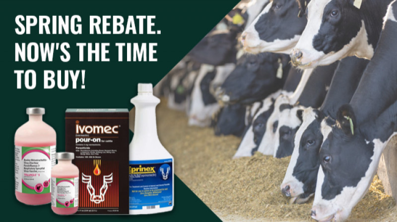 Now's the time to buy! Stop by Southern States to take advantage of the Cattle First Rewards Spring Rebate.