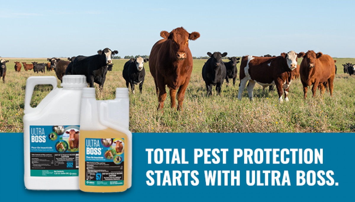 Total Pest Protection Starts with Ultra Boss.