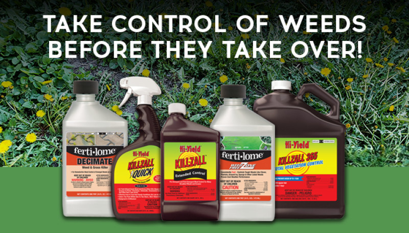 Control weeds early for a healthier lawn all year!