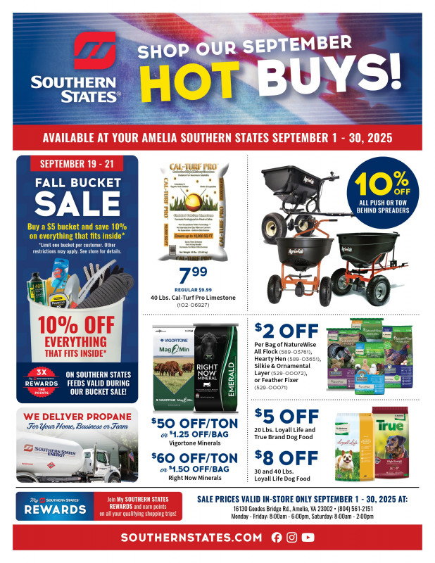 Amelia September Hot Buys!