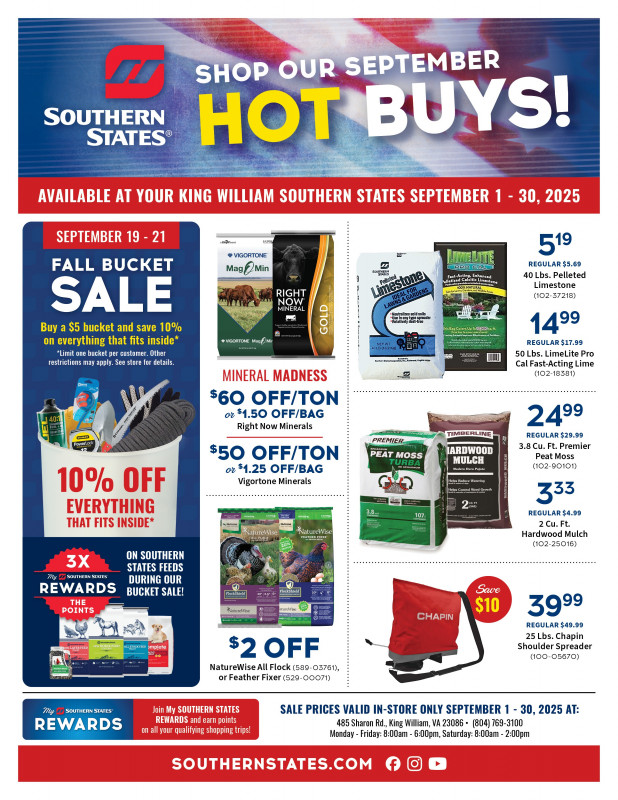King William September Hot Buys!
