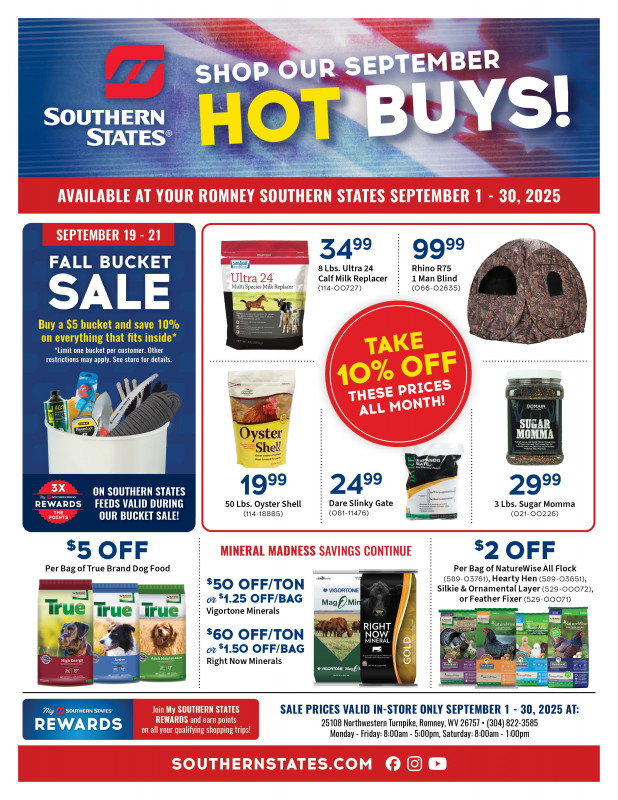 Romney September Hot Buys!
