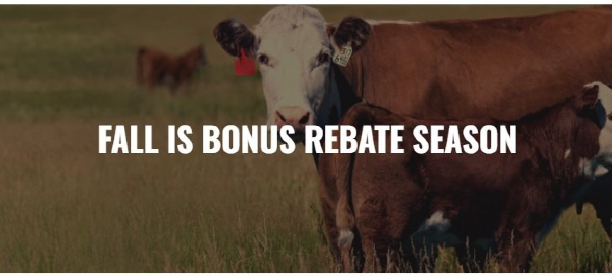 Now's the time to buy! Stop by Southern States to take advantage of the Fall Bonus Rebate Season