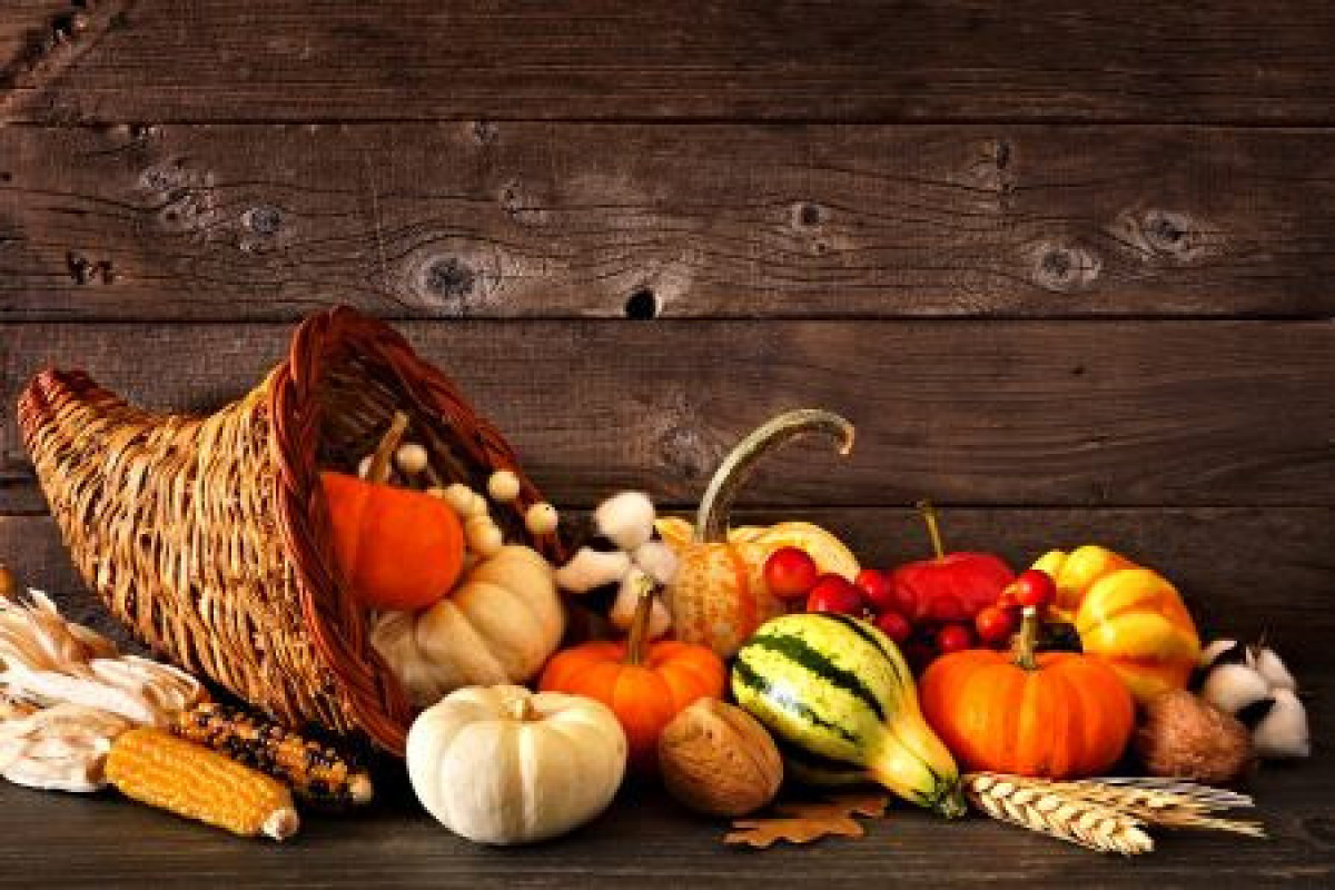 Our store will be closed on Thanksgiving 11-27 and Friday 11-28 to allow our employees to be with their family and friends.