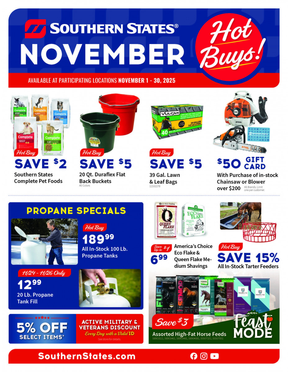 November Hot Buys