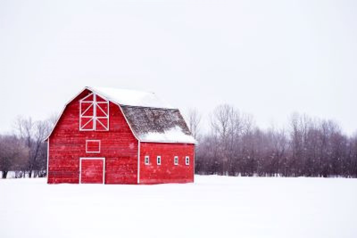 Our store will be Open New Years Eve 12-31 untill 4:00pm .The store will be closed on New Years Day day 01-01-2026 to allow our employees to celebrate with family and freinds.