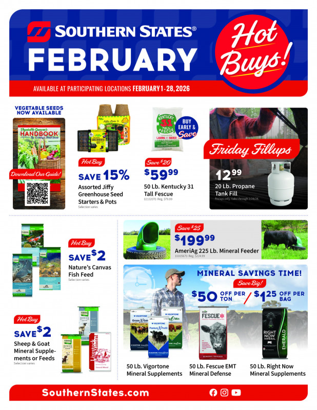 February Hot Buys