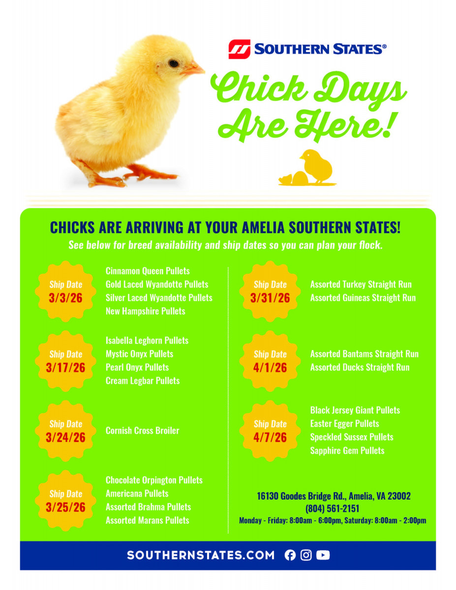 Spring Chick Days at Amelia