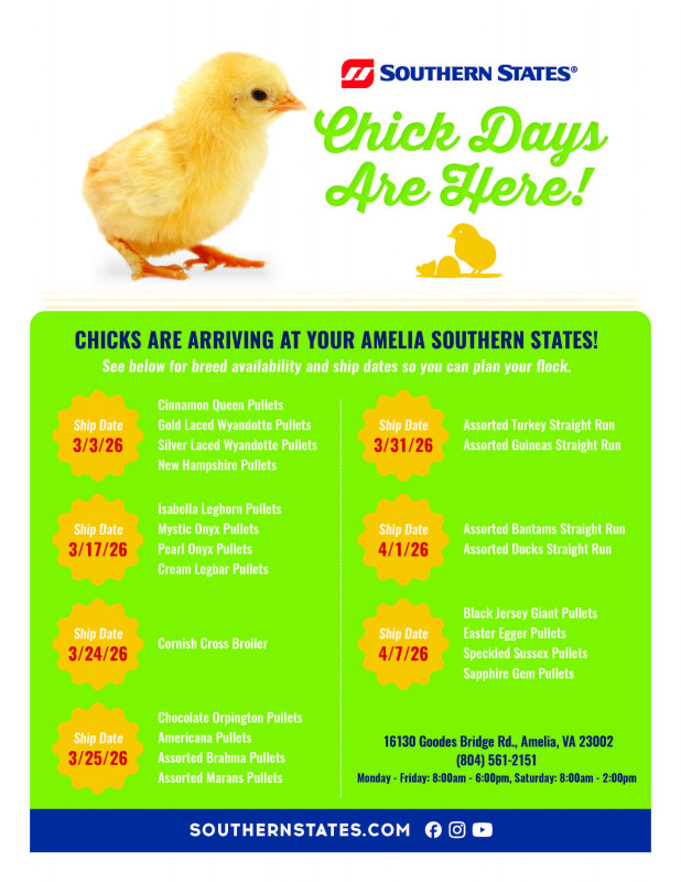 Spring Chick Days at Amelia