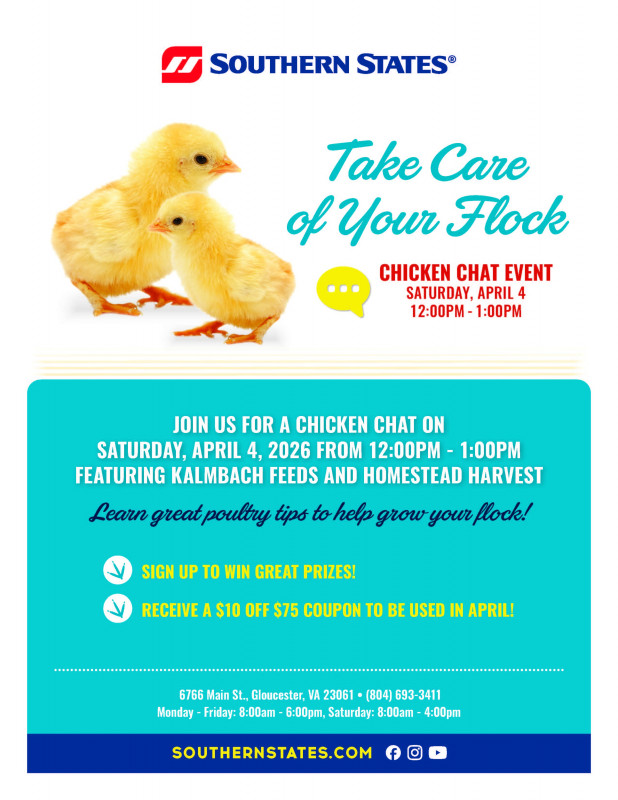 Chicken Chat at Gloucester