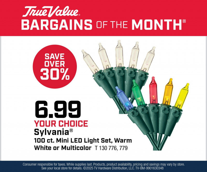 Your Choice Sylvania® 100 ct. Mini LED Light Set $6.99
