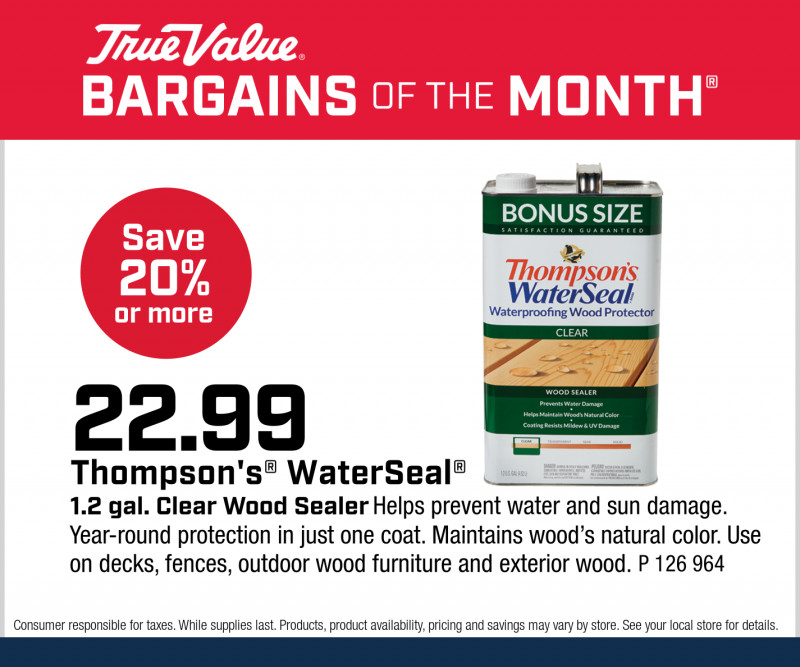 Thompson's® WaterSeal® 1.2 gal. Clear Wood Sealer $22.99