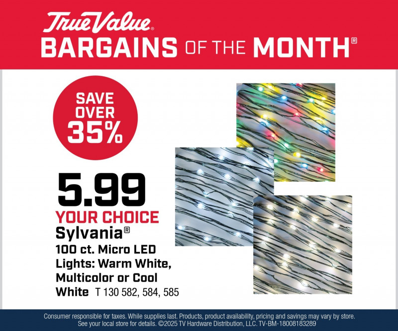Your Choice Sylvania® 100 ct. Micro LED Lights $5.99