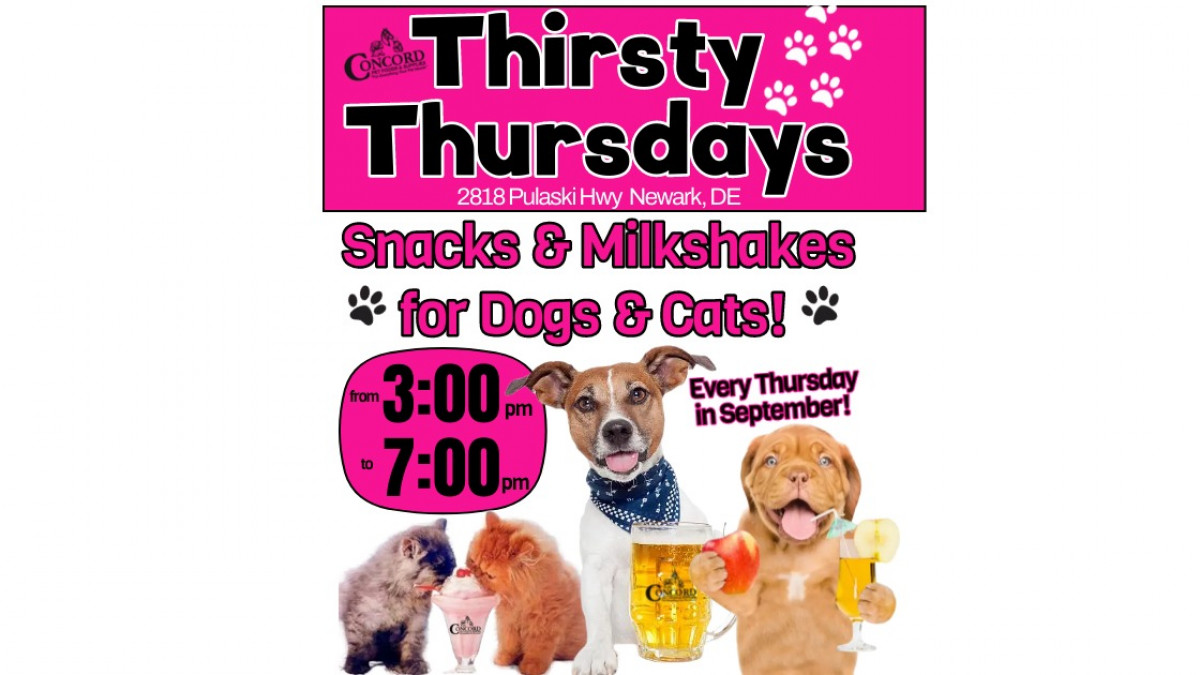 Thirsty Thursdays at Pulaski Concord Pet