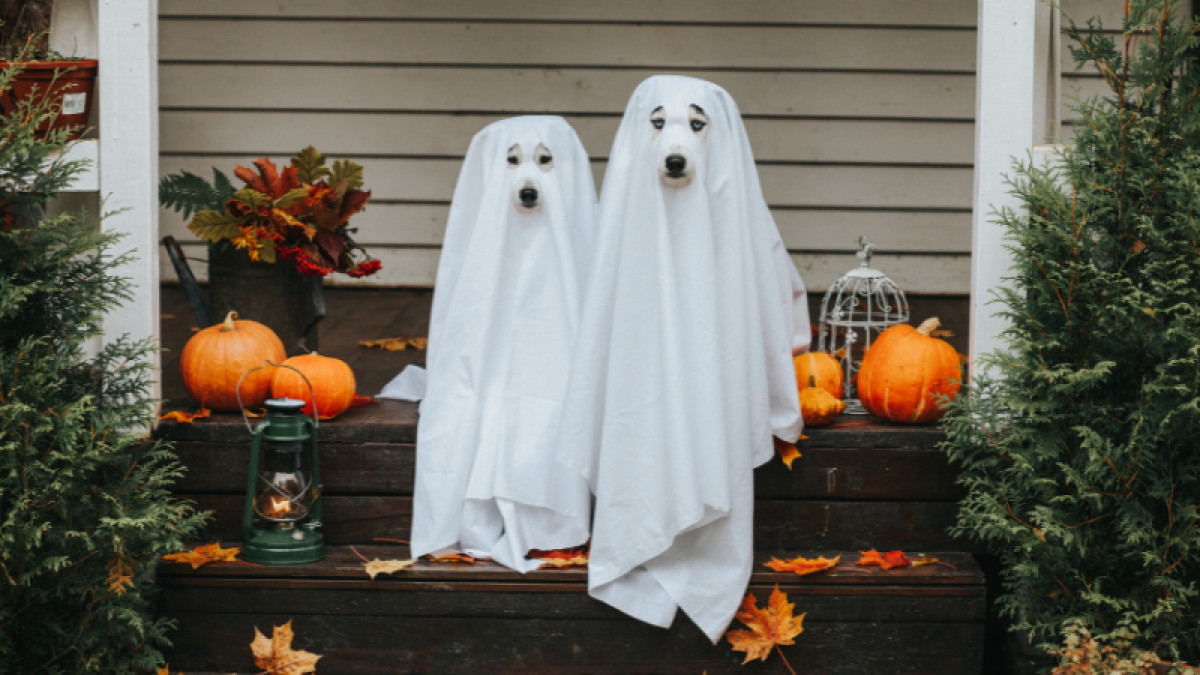 Costume Contest!