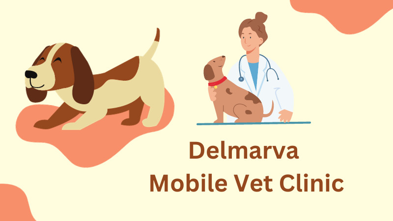 Delmarva Mobile Vet Clinic - Shot Clinic!