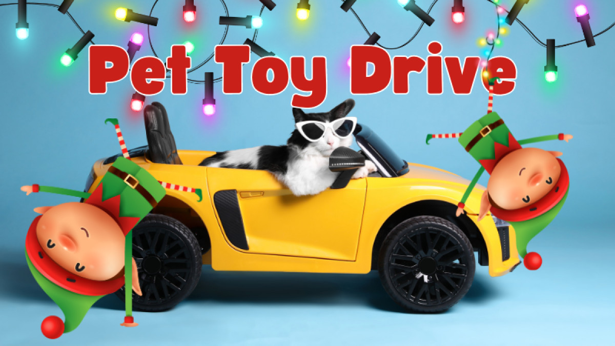 The Maddie Toy Drive!
