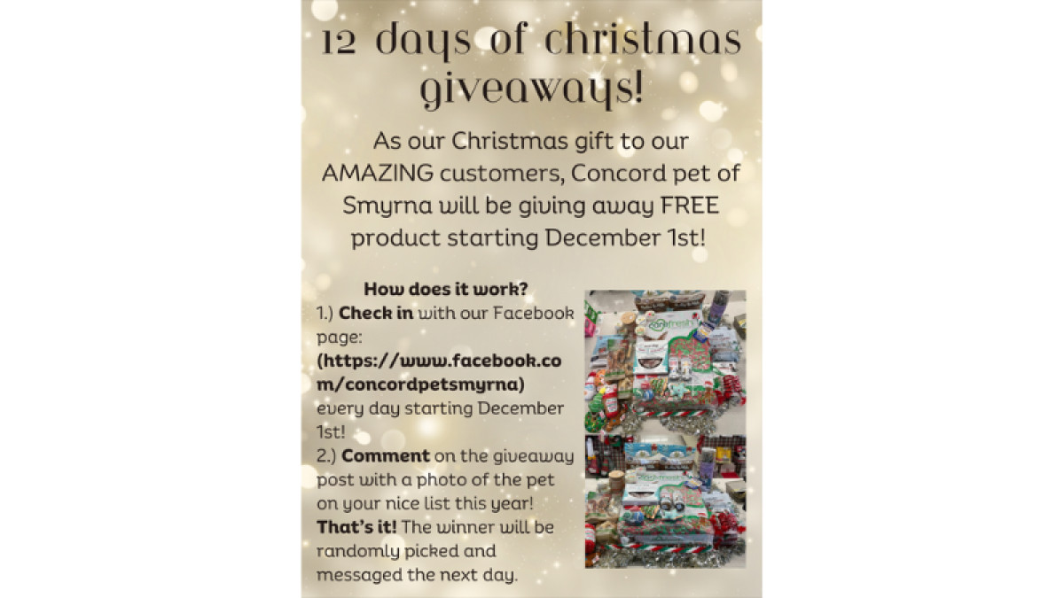 The 12 Days of Christmas Giveaways!
