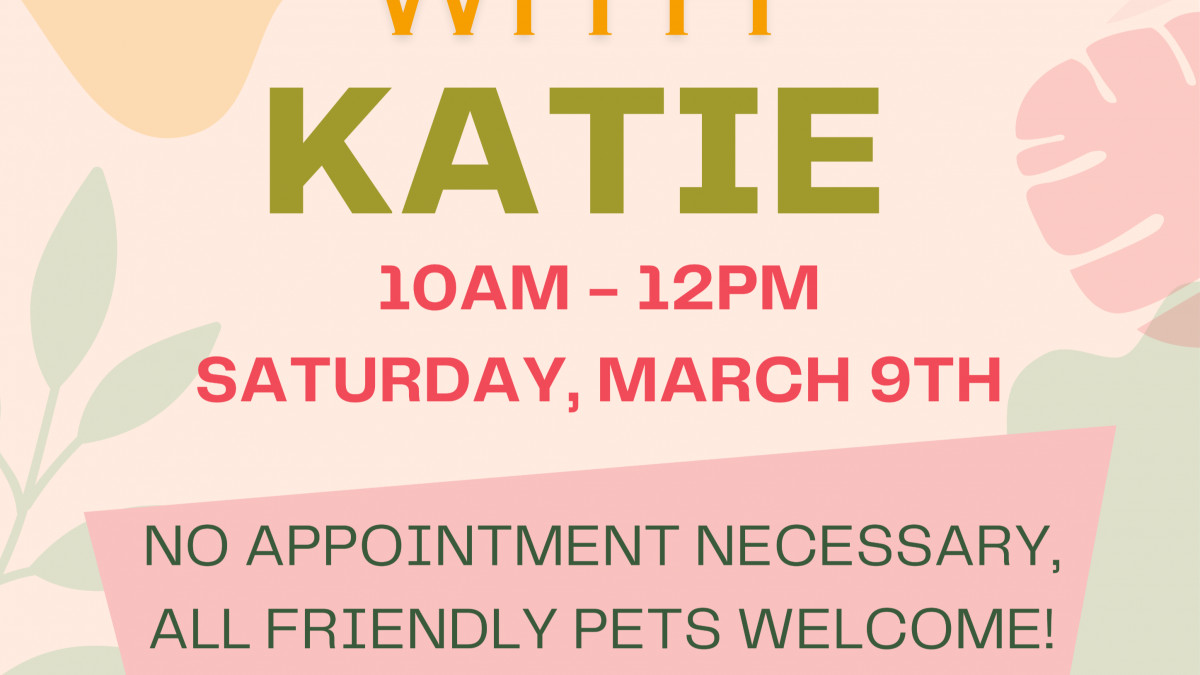 Nail Trims with Katie Claws N Paws!