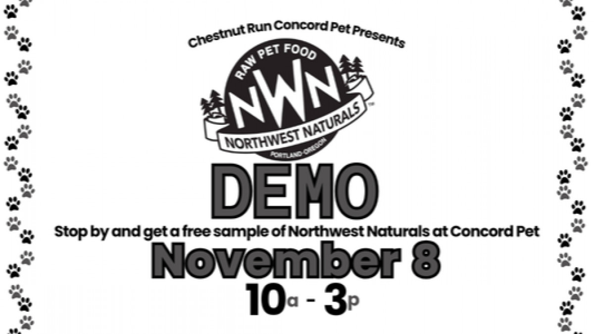 Demo Day