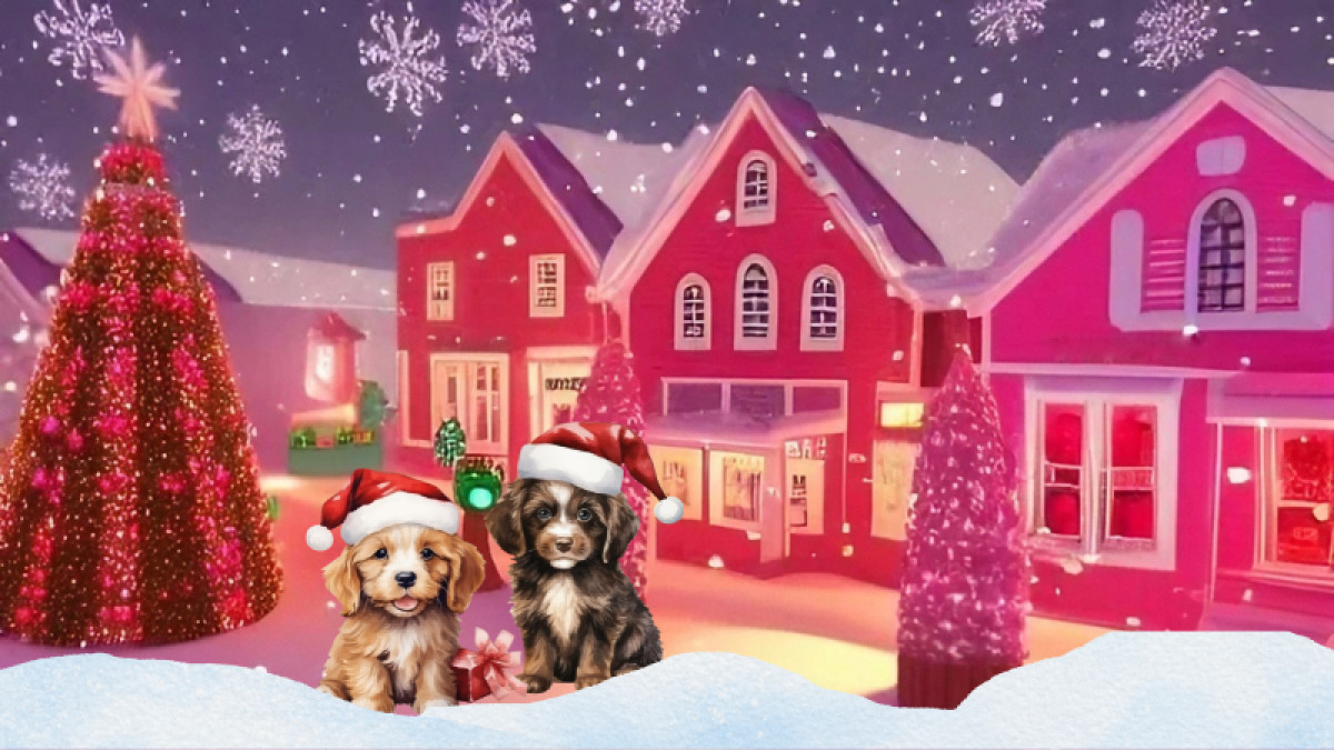 Christmas Village at Concord Pet in Hockessin!