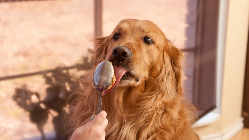 National Peanut Butter Day!