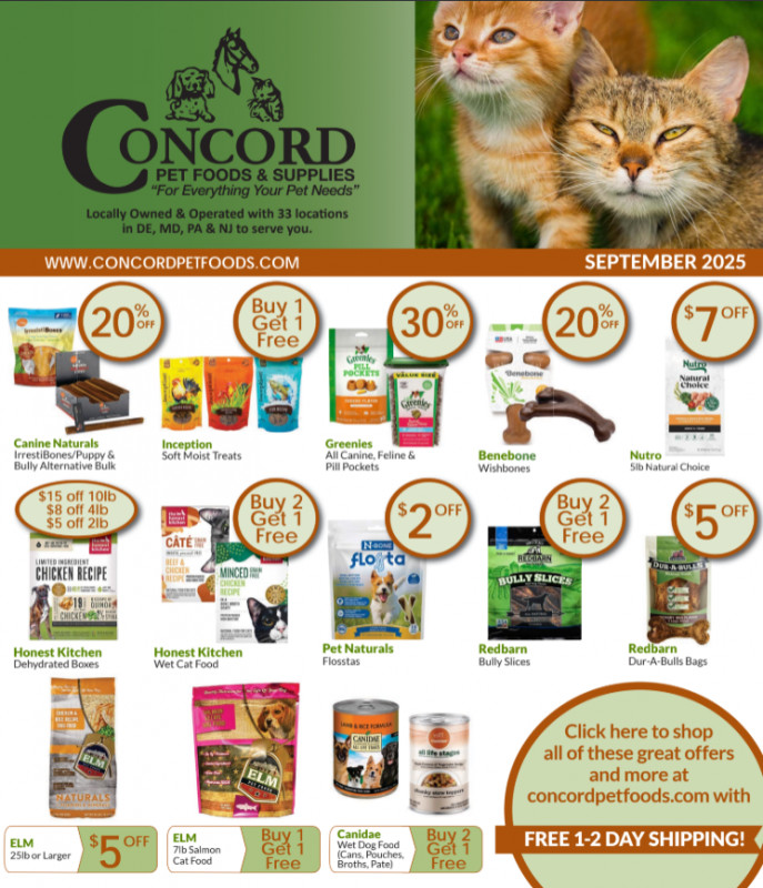 September Sales Flyer