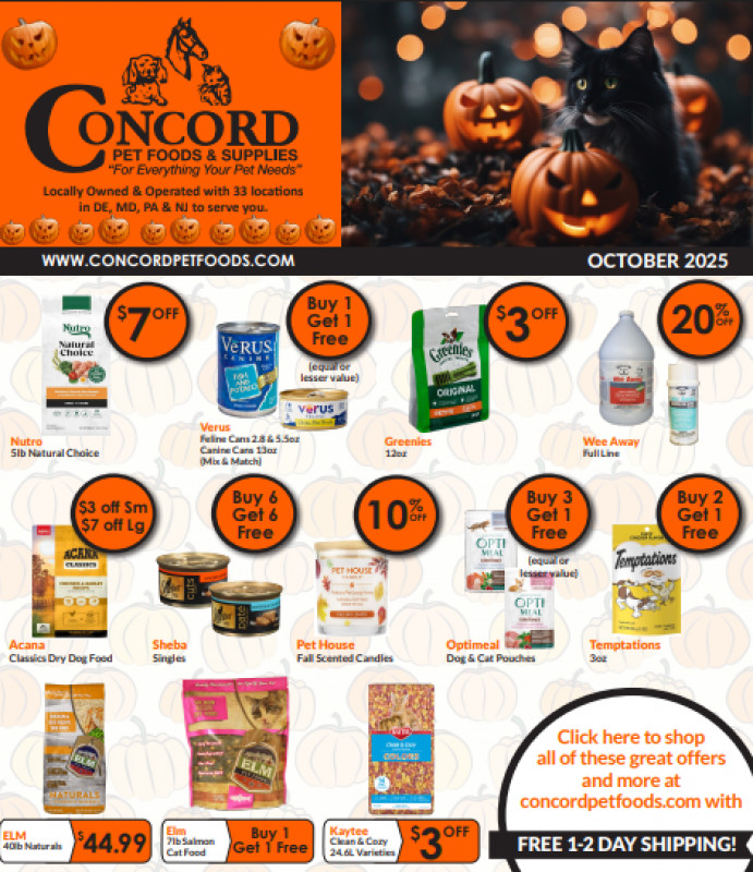 October Sales Flyer