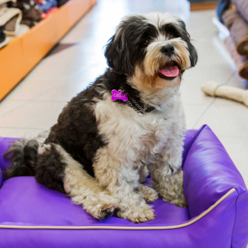 Snuggle Up With Savings!