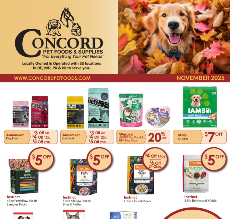 November Sales Flyer