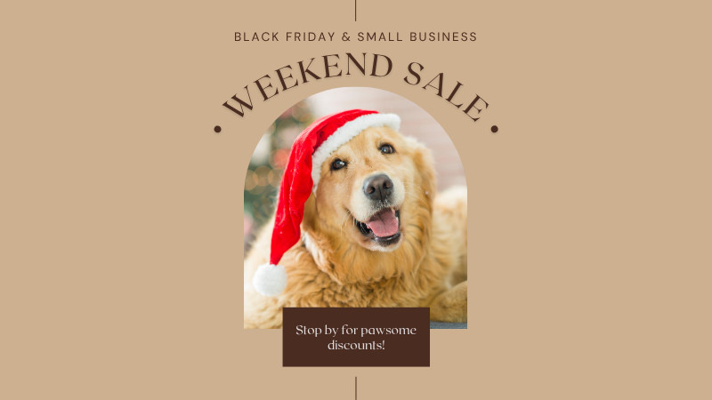 Black Friday and Small Business Saturday Savings