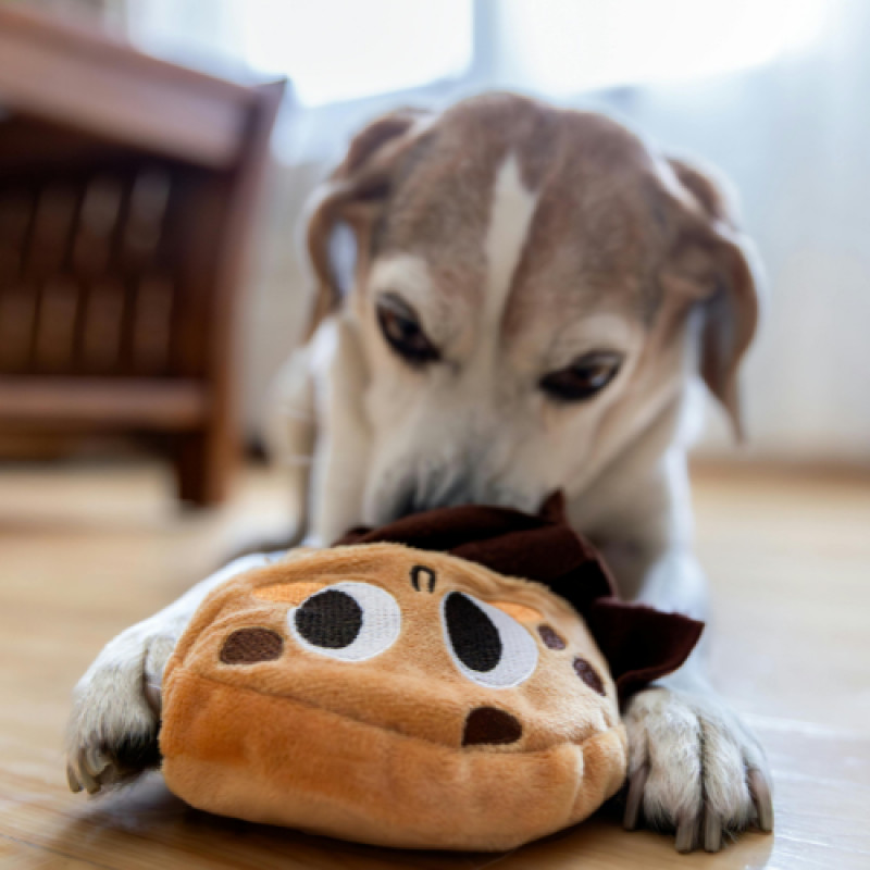 $5 Off $25+ (Non-Food)