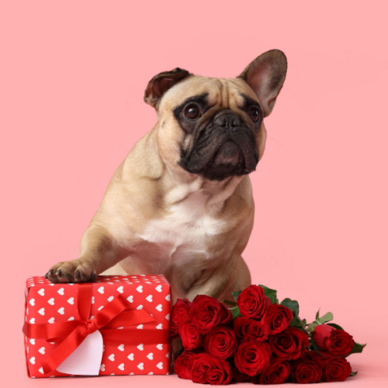 Valentine’s Special Coupon!