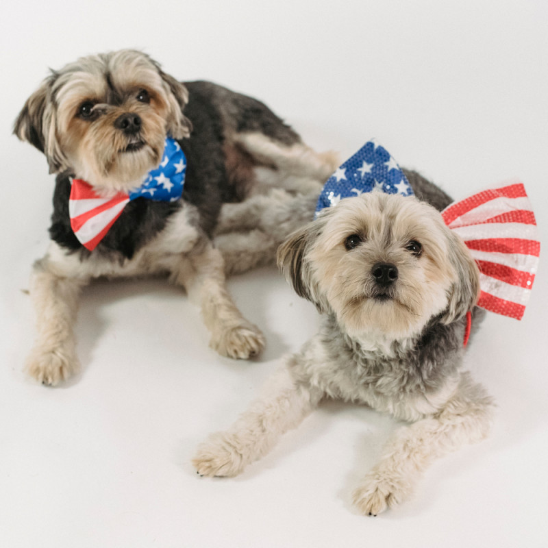 July 4th Coupon