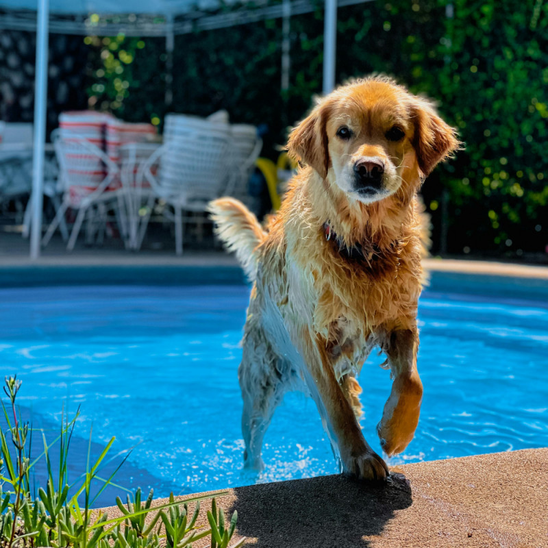 Beat the Heat Savings