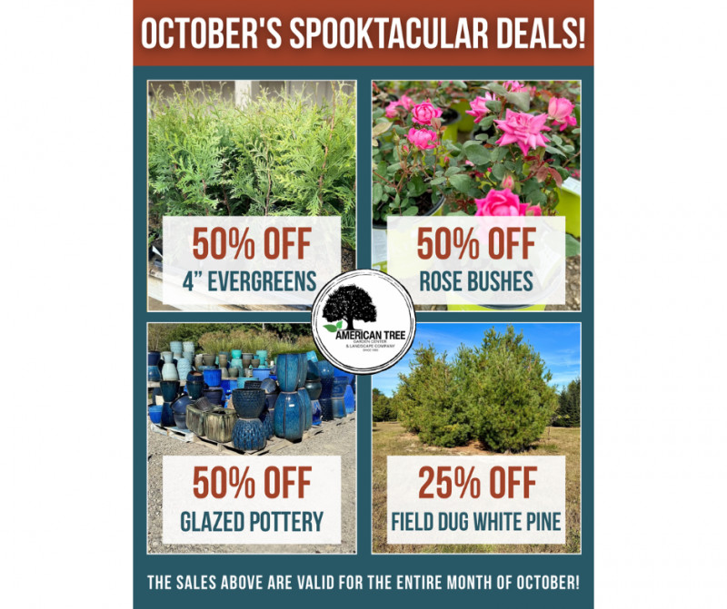 🍂 Fall Into Savings This October! 🍂