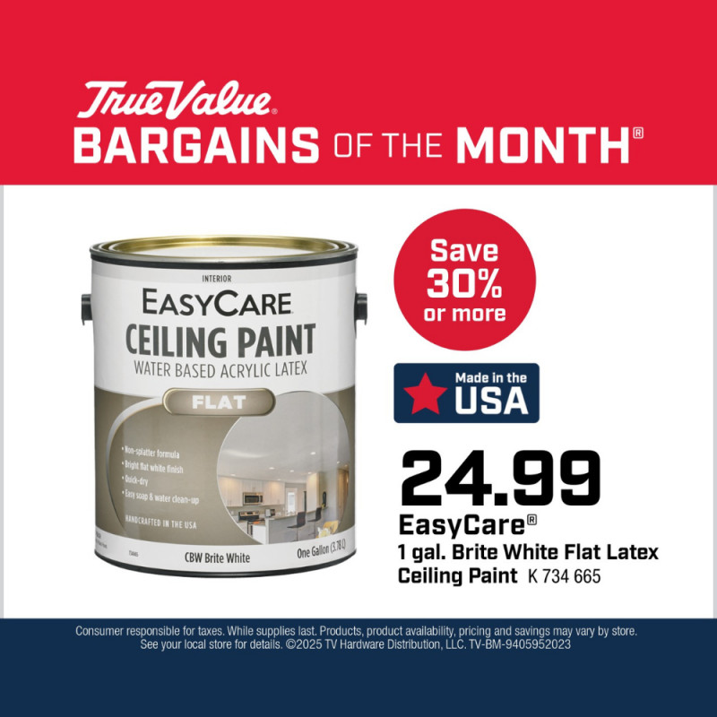 EasyCare® 1 gal. Brite White Flat Latex Ceiling Paint $24.99
